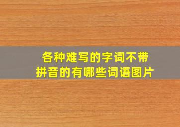 各种难写的字词不带拼音的有哪些词语图片