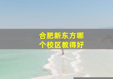 合肥新东方哪个校区教得好