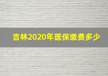 吉林2020年医保缴费多少