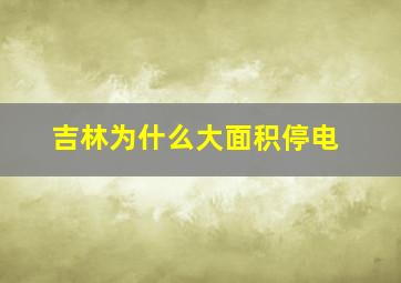 吉林为什么大面积停电