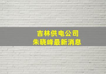 吉林供电公司朱晓峰最新消息