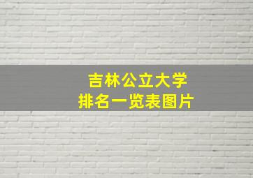 吉林公立大学排名一览表图片