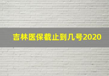 吉林医保截止到几号2020