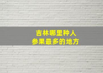 吉林哪里种人参果最多的地方