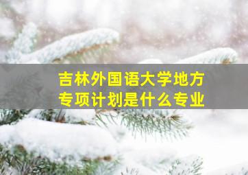 吉林外国语大学地方专项计划是什么专业