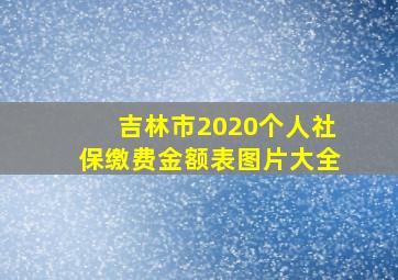 吉林市2020个人社保缴费金额表图片大全