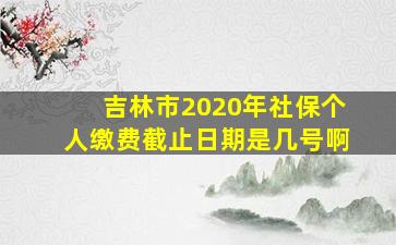 吉林市2020年社保个人缴费截止日期是几号啊