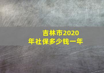 吉林市2020年社保多少钱一年