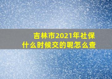 吉林市2021年社保什么时候交的呢怎么查