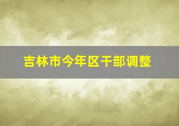 吉林市今年区干部调整