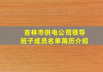 吉林市供电公司领导班子成员名单简历介绍