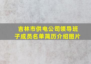 吉林市供电公司领导班子成员名单简历介绍图片