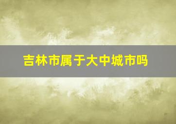 吉林市属于大中城市吗