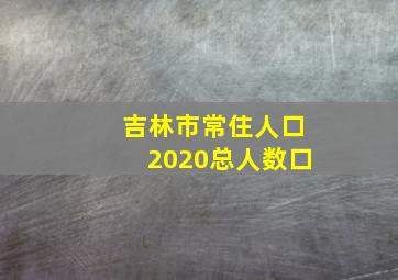 吉林市常住人口2020总人数口