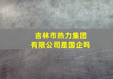 吉林市热力集团有限公司是国企吗