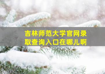 吉林师范大学官网录取查询入口在哪儿啊