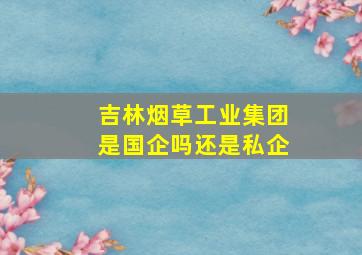 吉林烟草工业集团是国企吗还是私企