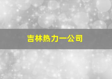 吉林热力一公司