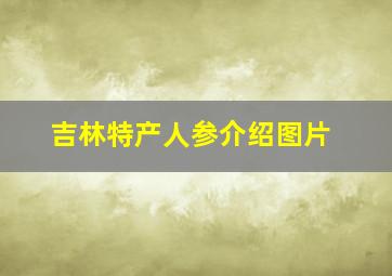 吉林特产人参介绍图片