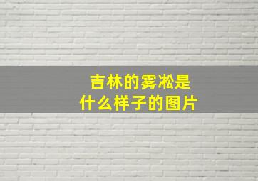 吉林的雾凇是什么样子的图片