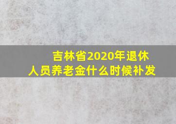 吉林省2020年退休人员养老金什么时候补发