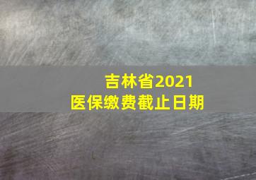 吉林省2021医保缴费截止日期