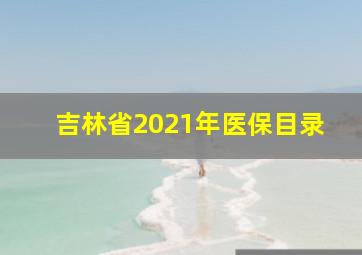 吉林省2021年医保目录