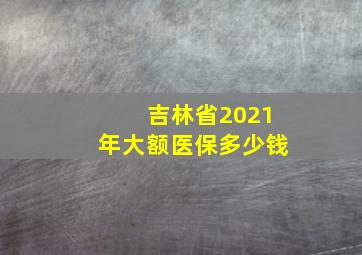 吉林省2021年大额医保多少钱