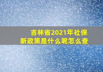 吉林省2021年社保新政策是什么呢怎么查