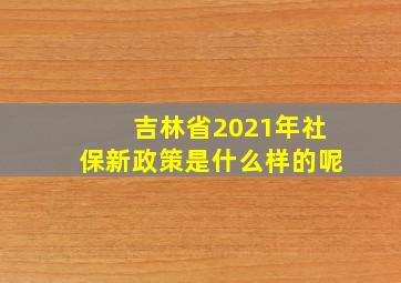 吉林省2021年社保新政策是什么样的呢