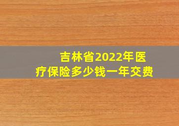 吉林省2022年医疗保险多少钱一年交费