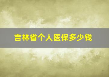 吉林省个人医保多少钱