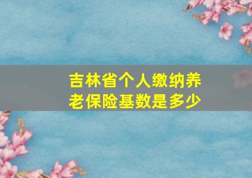 吉林省个人缴纳养老保险基数是多少