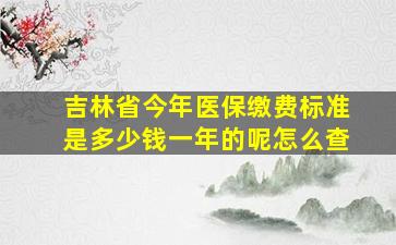 吉林省今年医保缴费标准是多少钱一年的呢怎么查