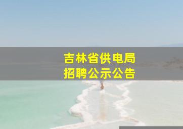 吉林省供电局招聘公示公告