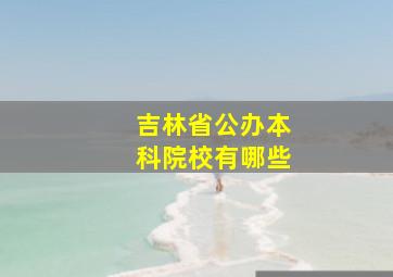 吉林省公办本科院校有哪些