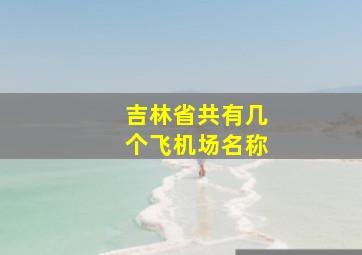 吉林省共有几个飞机场名称