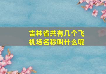 吉林省共有几个飞机场名称叫什么呢