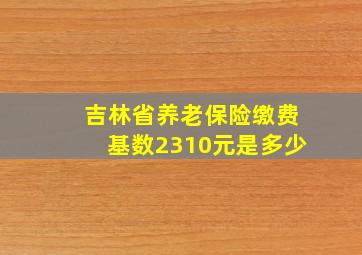 吉林省养老保险缴费基数2310元是多少