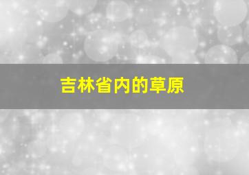 吉林省内的草原