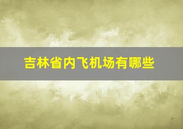 吉林省内飞机场有哪些