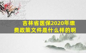 吉林省医保2020年缴费政策文件是什么样的啊