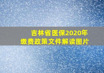 吉林省医保2020年缴费政策文件解读图片