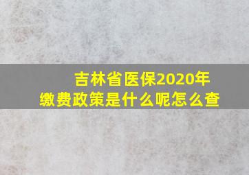 吉林省医保2020年缴费政策是什么呢怎么查