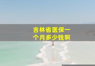 吉林省医保一个月多少钱啊