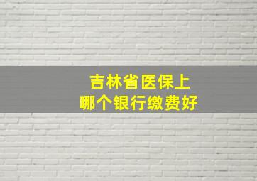 吉林省医保上哪个银行缴费好