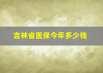 吉林省医保今年多少钱