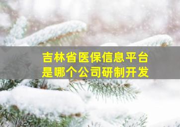 吉林省医保信息平台是哪个公司研制开发