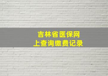 吉林省医保网上查询缴费记录