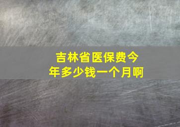 吉林省医保费今年多少钱一个月啊